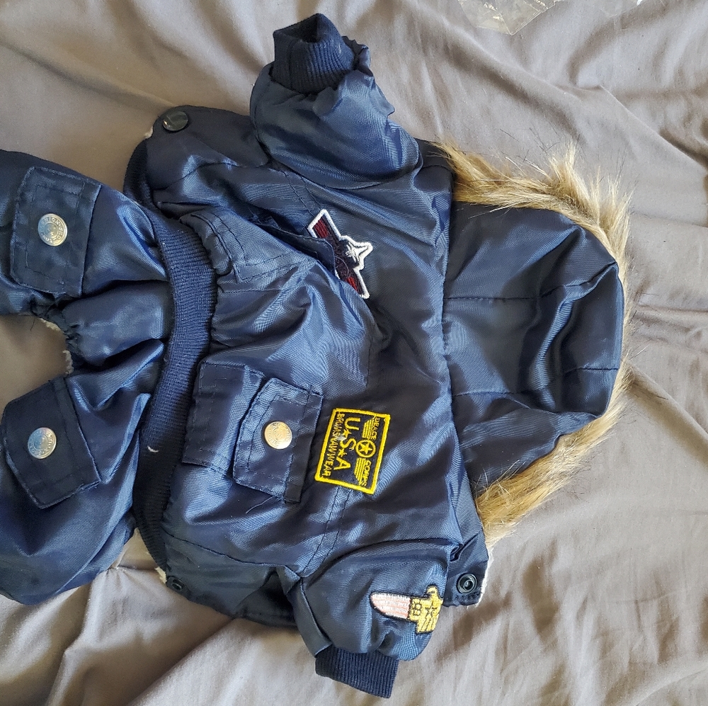 Small dog coat - Picture 2 of 5